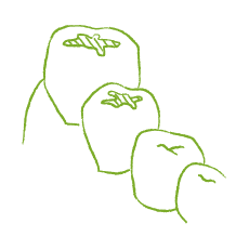 むし歯・歯周病